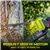 Sun Joe 24V-X2-CS16 48-Volt iON+ Cordless Chain Saw Kit
