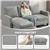 Modern L-Shaped Sectional Sofa with Reversible Chaise
