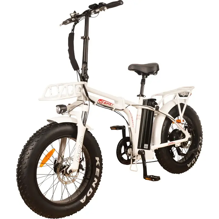 DJ Folding Bike 500W 48V 13Ah CANADIAN BRAND