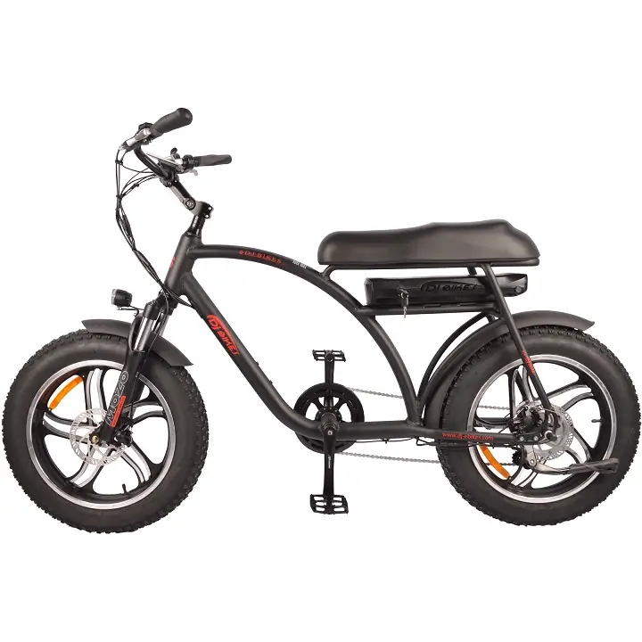 DJ Super Electric Bike 20* 4” Fat Tire 48V 13Ah CANADIAN BRAND