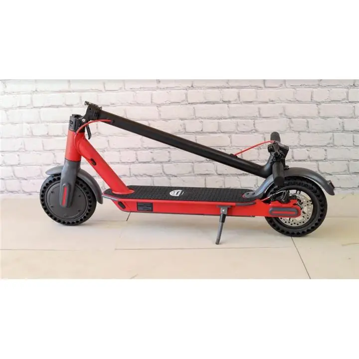 36V Venice Electric Scooter Goes Over 25KM Per Hour! Red