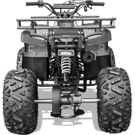 Gas Powered ATV 30MPH 125cc 4-Stroke