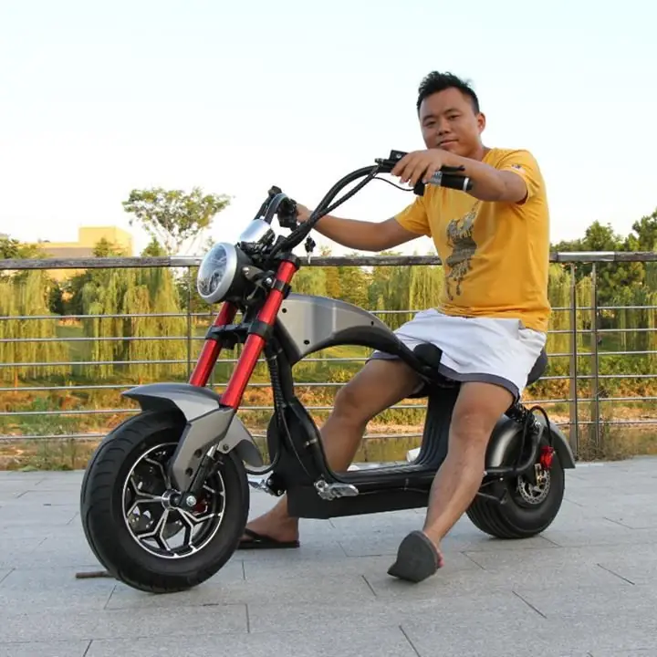 LowRider Electric Scooter Chopper Design 800W 48V 30km/h