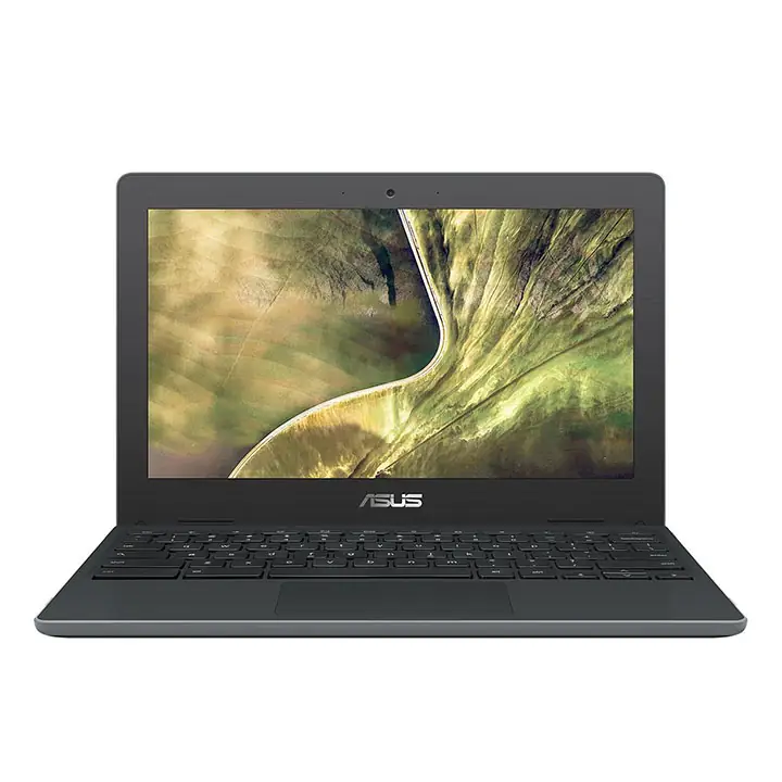Asus 11.6" N4020 Chromebook