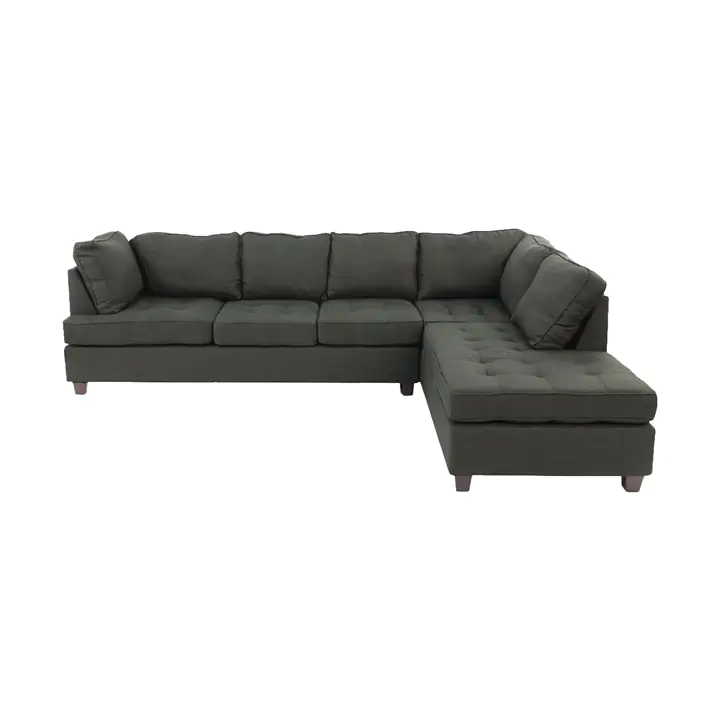 Agen 2-Piece Sectional Sofa with Reversible Chaise in Ash Black Doris