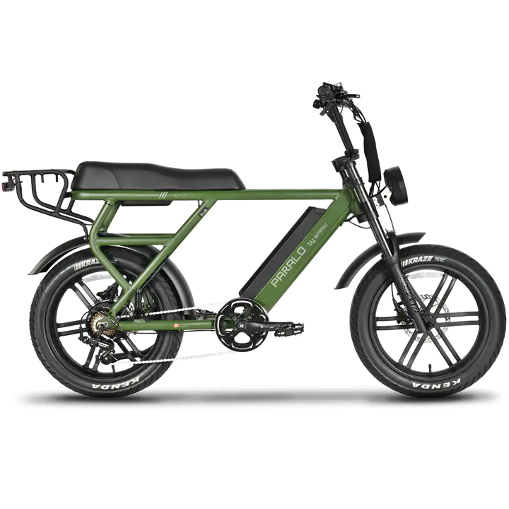 EMMO Paralo Pro 2.0-Powerful 750W-Dual Seater Electric Bike-Green