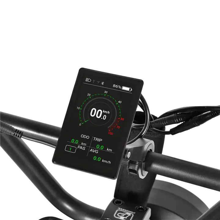 EMMO Paralo Pro 2.0-Powerful 750W-Dual Seater Electric Bike-Green