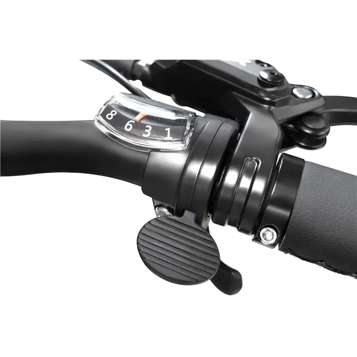 Emmo Hallo Pro 2.0-Step thru-Removable 48V/10Ah Li battery-Black