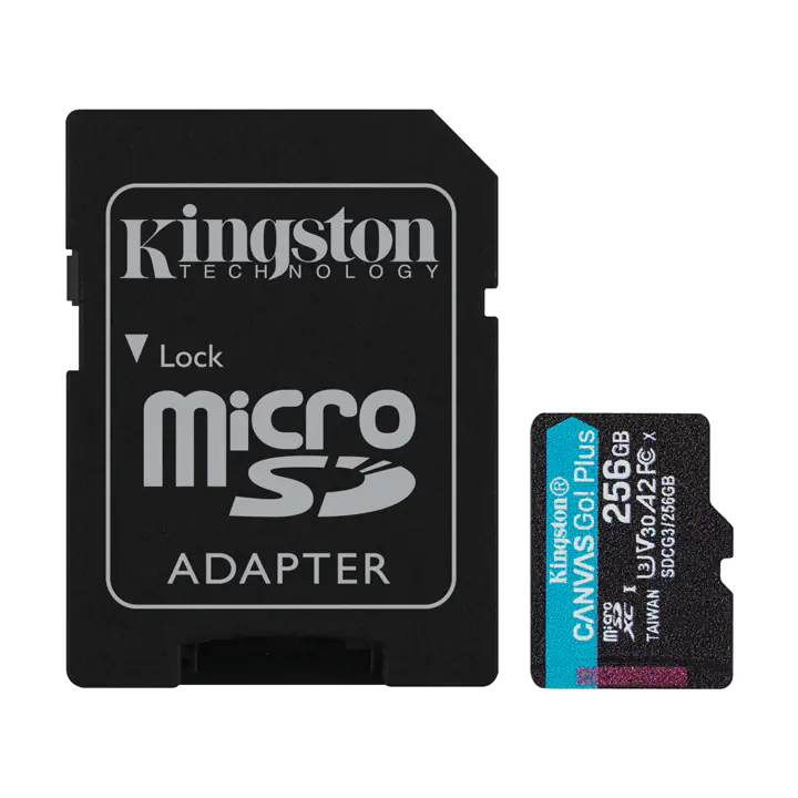Kingston 256GB MicroSD with SD Adapter