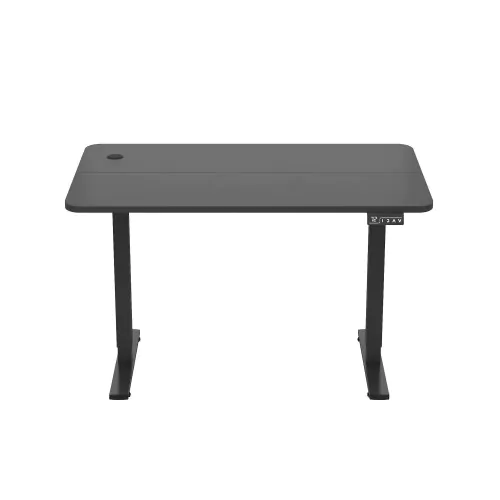 Electric Adjustable Height Desk, 120 x 60 cm With Quiet Motor