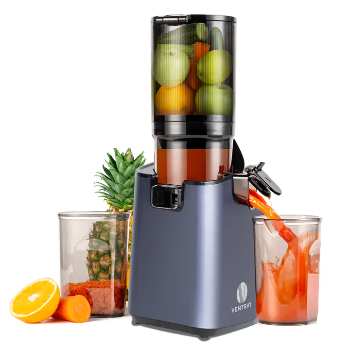 Ventray Cold Press Juicer Machine with 5.1 Inch Feed Chute - Purple