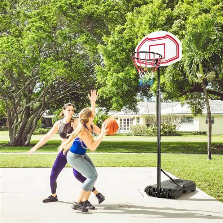 Height-Adjustable Hoop with 2 Nets