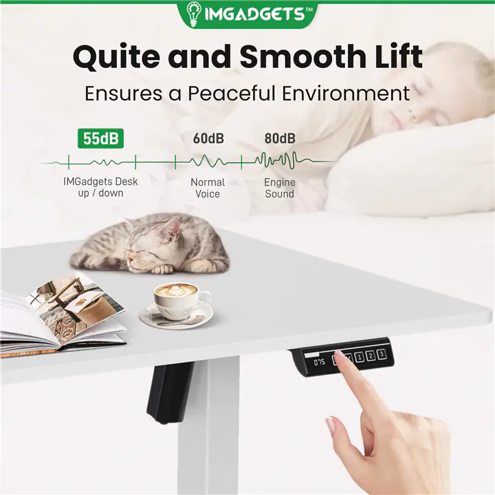 IMGadgets Standing Electric Adjustable Desk, 47' x 24' (White)