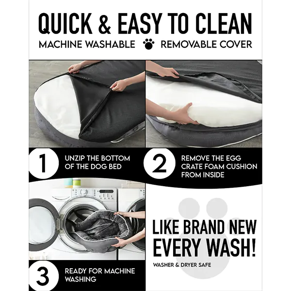 Pets Accessories Combo