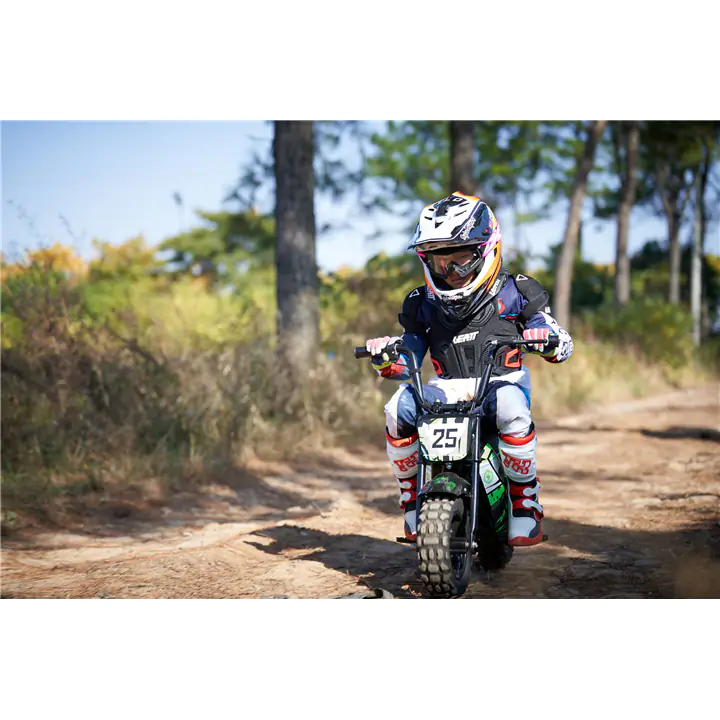 MotoTec 24v 250w Electric Powered Mini Bike Black