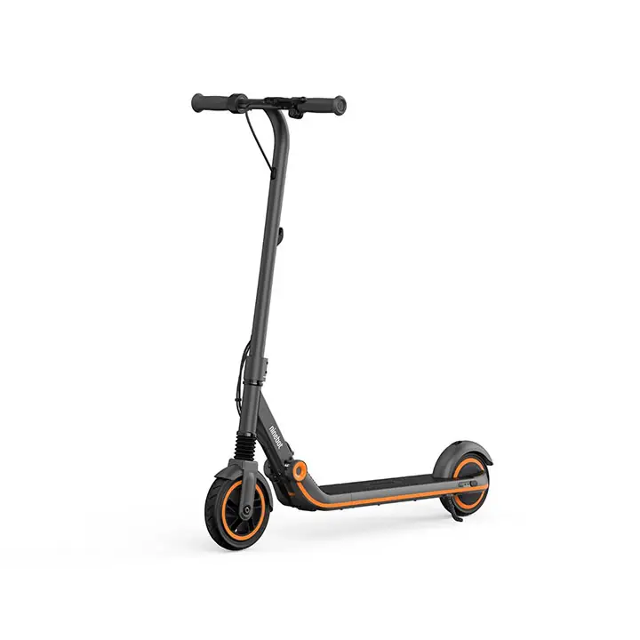 Segway ZING E12 Ninebot eKickScooter
