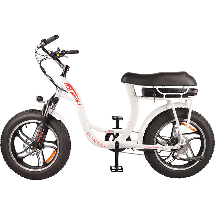 DJ Super Bike Step Thru 20"x 4" Fat Tire 48V 13Ah