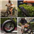 Vélo électrique Hurley Mini Swell, 500 W avec pneus gros de 20 pouces