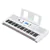 Claviers portables Yamaha EZ300 avec support de clavier