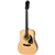 Epiphone Songmaker DR-100 Acoustic Guitar - Natural