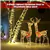 Ensemble de LED Rudolph scintillantes