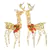 Ensemble de LED Rudolph scintillantes
