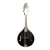 STADIUM A-STYLE MANDOLIN VINTAGE F HOLES WITH CARRYING BAG & PICKS