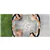 MSPA Premium Soho Inflatable Hot Tub 6 Person Spa