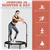 Mini trampoline de fitness pliable de 40 pouces