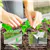 2Jardinières de Jardin surélevées pour le jardinage en extérieur/intér