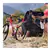 Worx Hydroshot portable 20V Power Share 4.0Ah nettoyeur haute pression